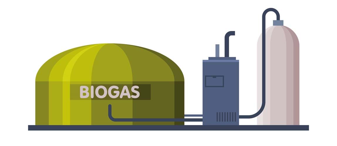 Webinar: Biogas Utilisation
