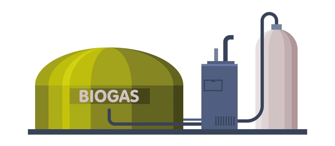 Webinar: Biogas Utilisation