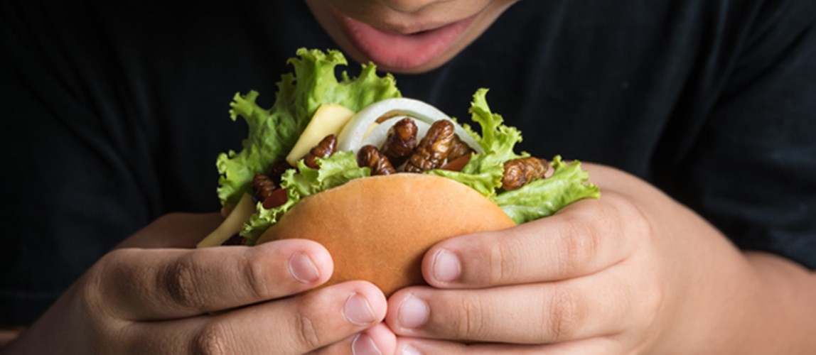 Webinar: How Can We Accept and Incorporate Edible Insects into Our Lives as Food of the Future?