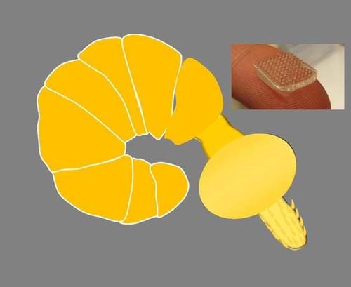 Gut -clinging worm inspires medical dressing