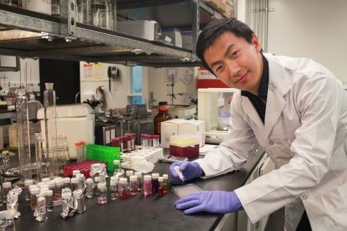 Image Credit | Shengyan (Sandy) Liu, University of Waterloo
