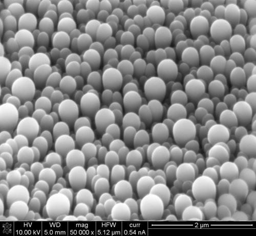 University of Michigan engineering professors have made rounded crystals with no facets, a structure occasionally found in nature but difficult to produce in a lab. Image credit: Max Shtein