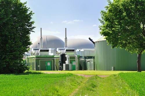 Biofuel plant
