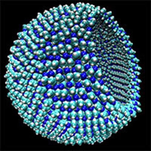 A representation of a 9-nanometer azotosome