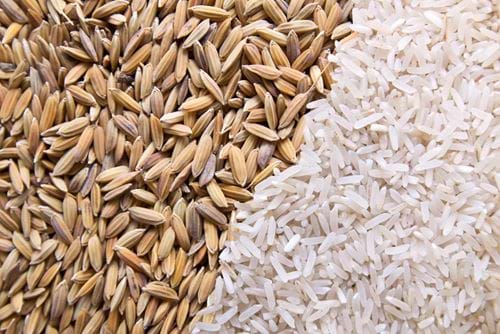 Wheat and rice