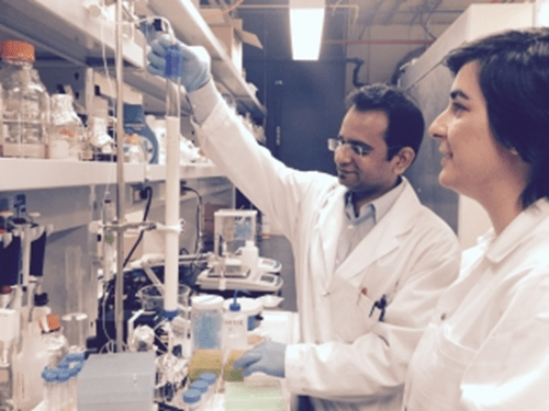 McGill UniversityVimal Maisuria (left) and Nathalie Tufenkji testing maple syrup