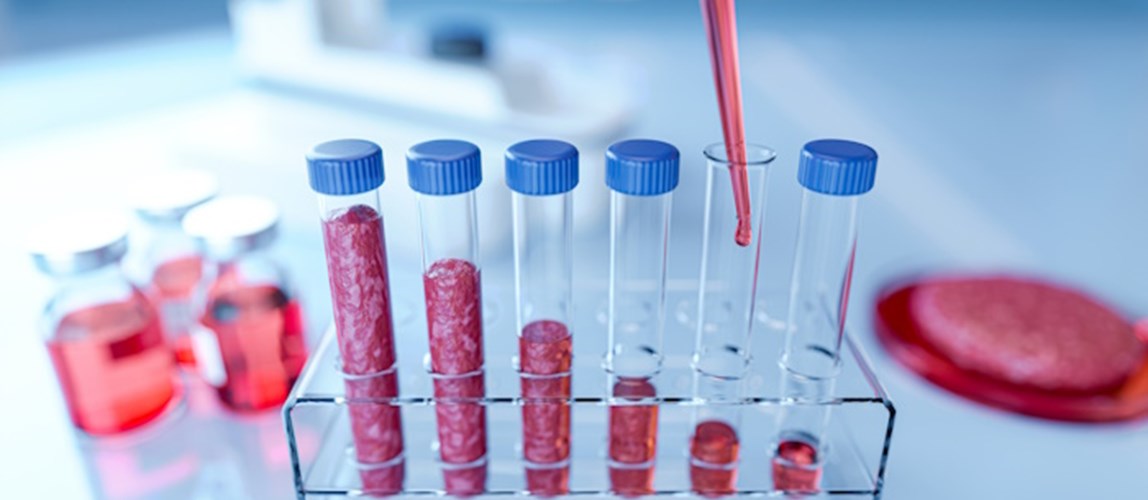 Webinar: The Role of Cultivated Meat and the Revolutionary Culture Media Driving its Potential
