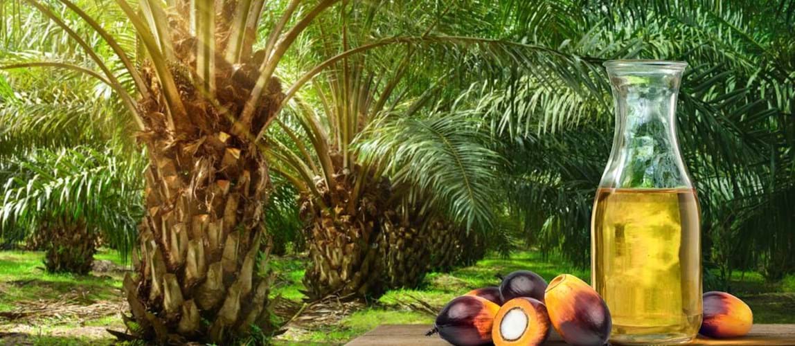 Palm Oil Processing Special Interest Group Annual Meeting