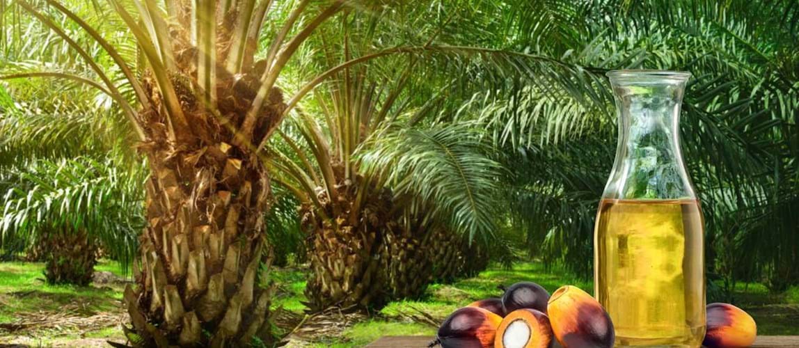 Palm Oil Processing Special Interest Group Annual Meeting 2023