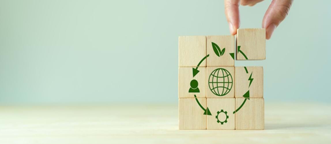 Hybrid Event: Decarbonisation and Sustainability in the South East