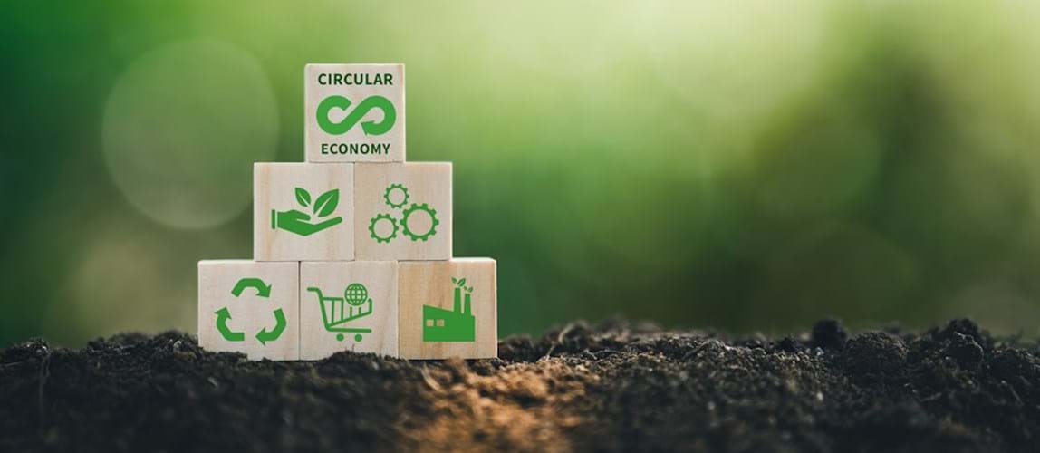 Webinar: Food Structures for a Sustainable World