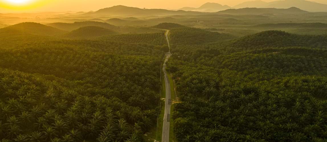 Webinar: How Sustainability Management Systems (SMS) Can Drive Cost Efficiency, Optimum Use of Resources, and Create a Sustainability Culture