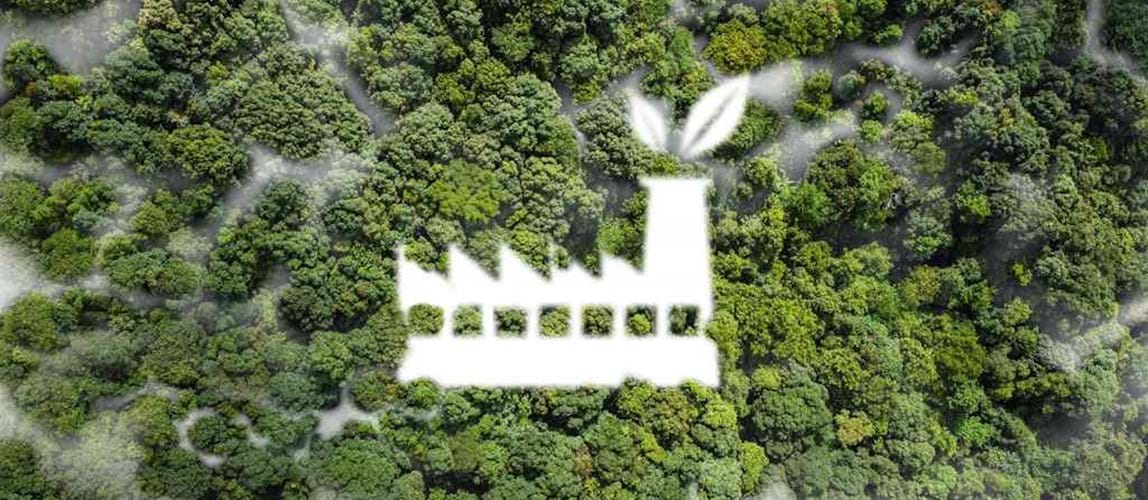 Webinar: Commercialisation of Biosurfactant Research from Bench to Demonstration Scale – Driving Change and Impact
