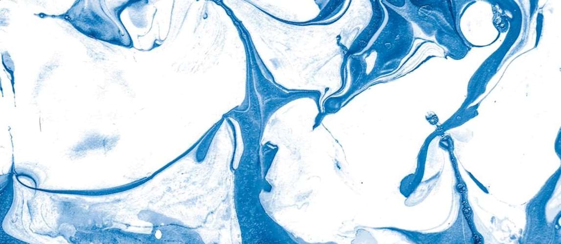 Baldyga Technical Seminar on Fluid Mixing