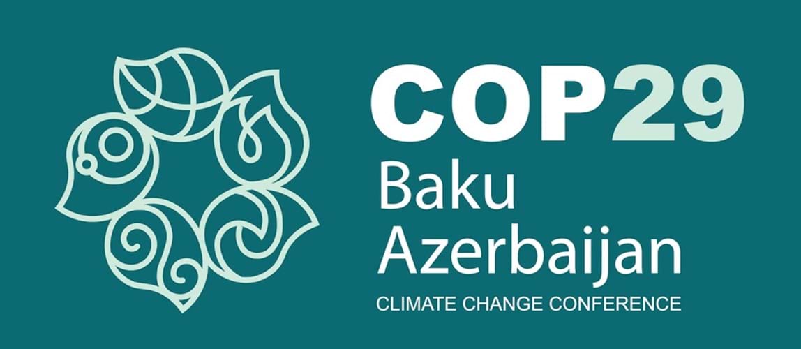 Webinar: What do COP16 (Nature) and COP29 (Climate) mean for the Oil and Gas Industry?