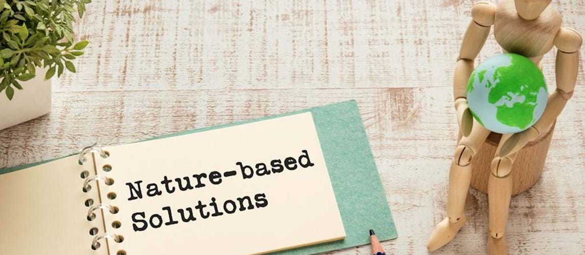 Webinar: Planetary Boundaries Series - Nature Based Solutions