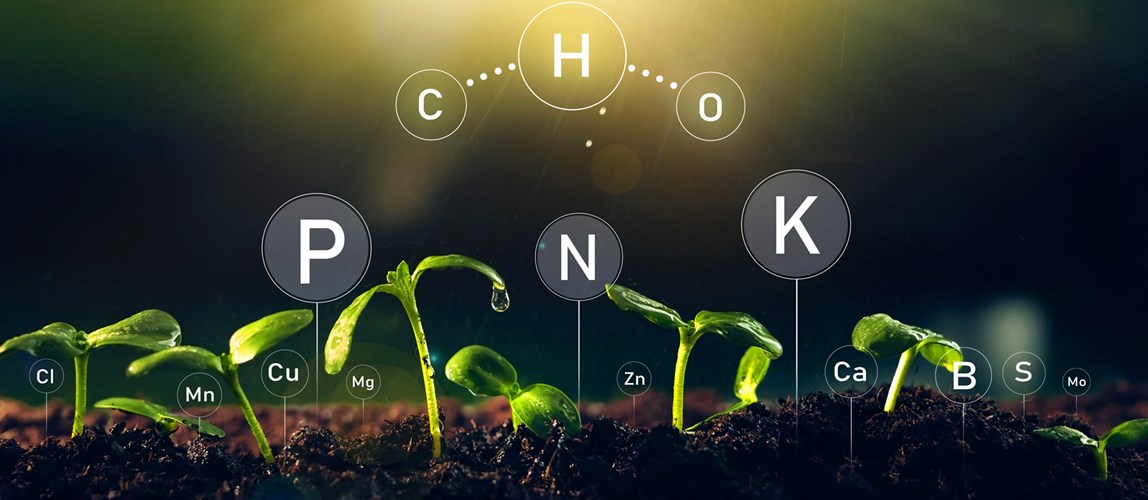 Webinar: Planetary Boundaries Series - Phosphorus