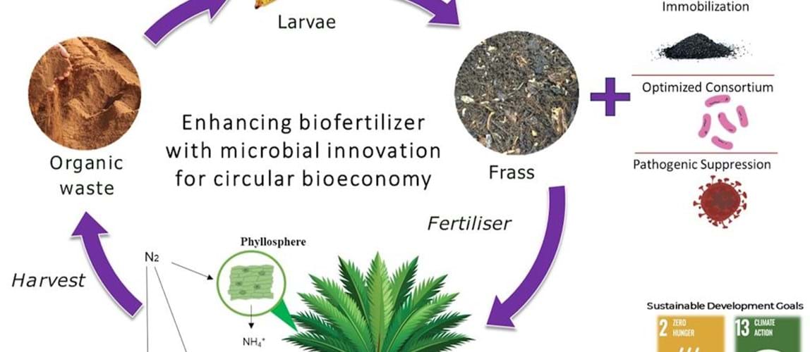 Webinar: Sustainable Black Soldier Fly Larvae, Biofertiliser and Circular Bioeconomy in Southeast Asia