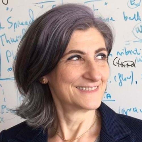 Raffaella Ocone, IChemE’s 84th President