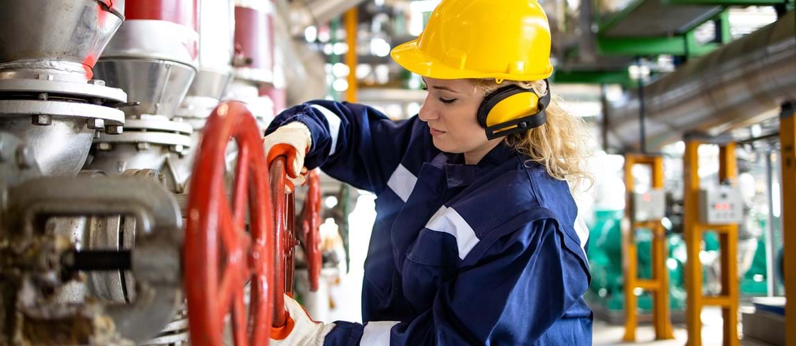 Hybrid: Low and Intermediate Level Nuclear Waste Management