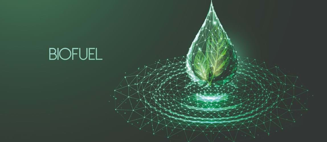 Hybrid: Refining in the Energy Transition