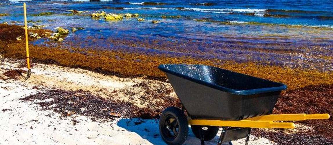 Webinar: Energy and Resource Recovery from Wet Wastes