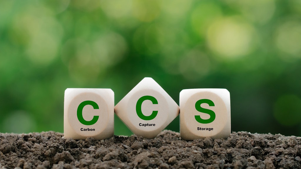 London and South East Coast Member Group Annual Meeting and Talk 