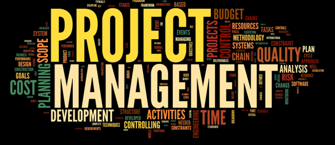 Dynamic Project Management with Cost and Schedule Risk Seminar 