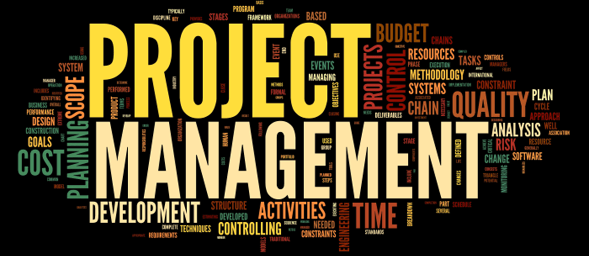 Dynamic Project Management with Cost and Schedule Risk Seminar
