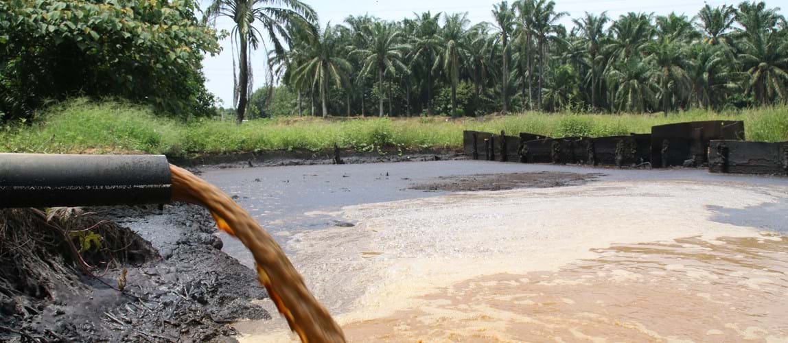 Webinar: Journey Towards Achieving Zero Liquid Discharge for Palm Oil Mill