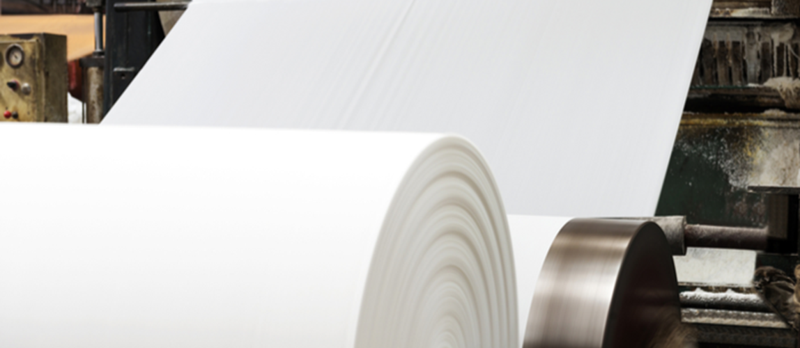 An Insight into a Cumbria-based Specialist Paper Manufacturing Organisation