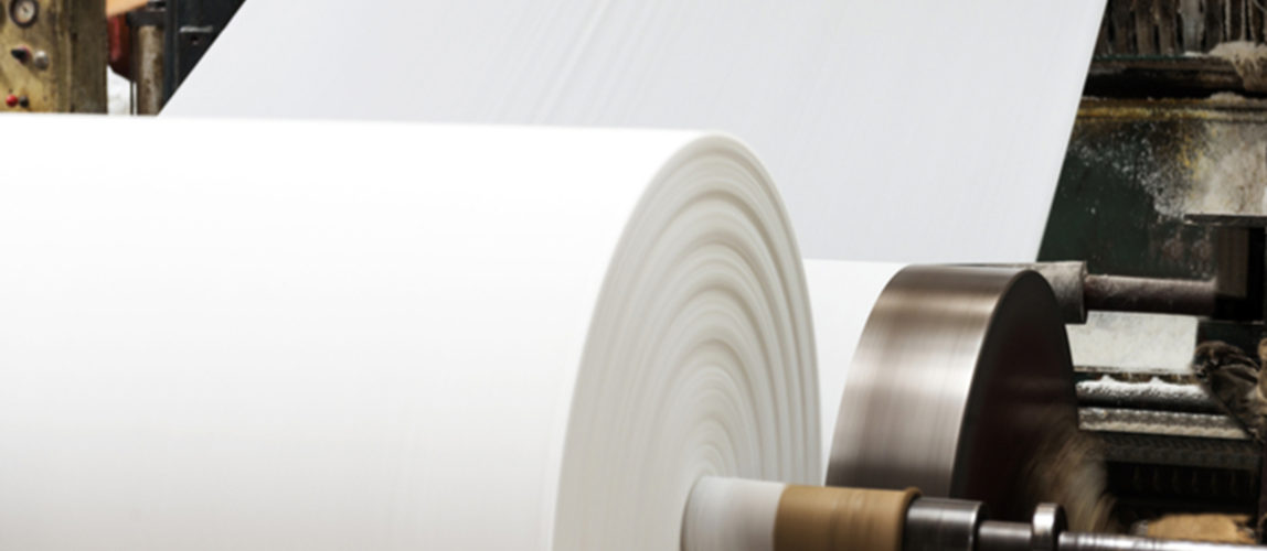 An Insight into a Cumbria-based Specialist Paper Manufacturing Organisation
