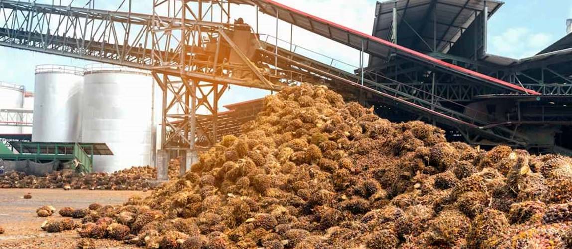 Industry 4.0 in Palm Oil