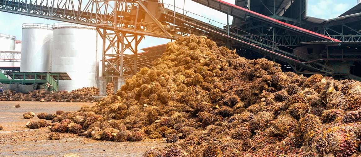 Industry 4.0 in Palm Oil