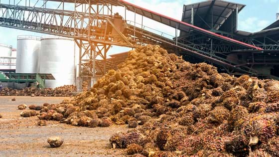 Industry 4.0 in Palm Oil