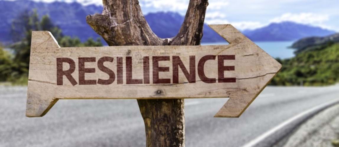 Building Resilience and Personal Effectiveness