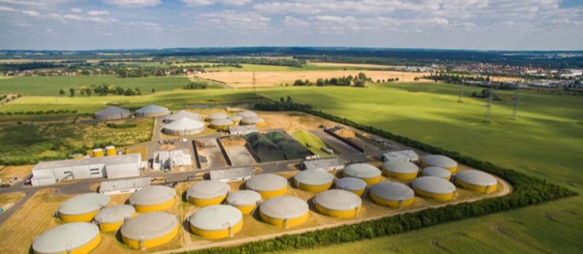 Biogas to Grid: Going Beyond Energy Neutrality 