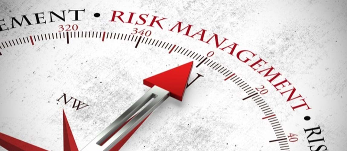 An Insurance Company View of Risk