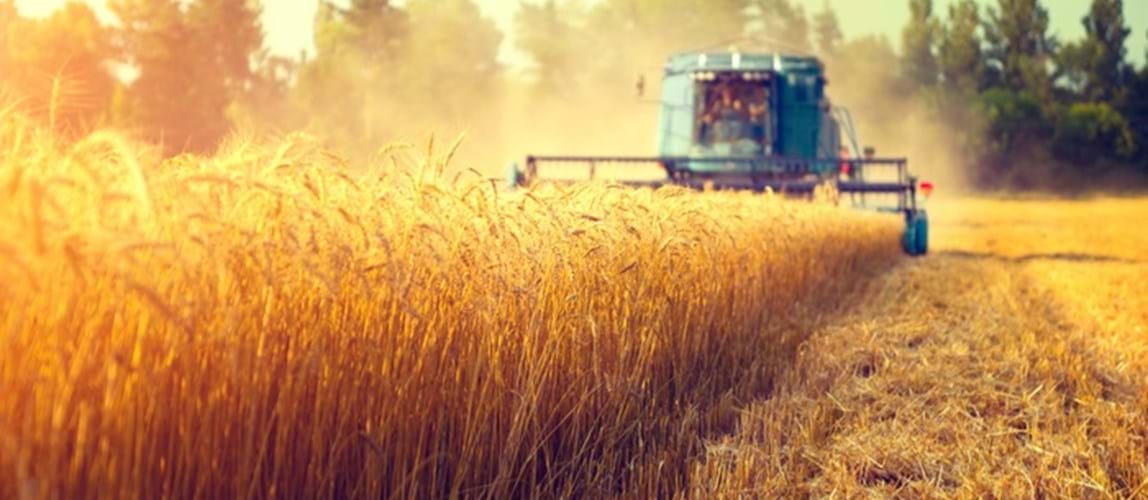 Future of Food & Drinks: Product, Process & Beyond - Part 2