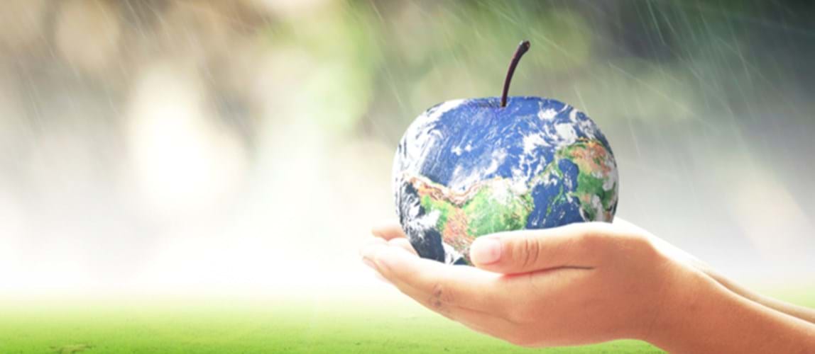 Future of Food & Drinks: Sustainability and Food Processing